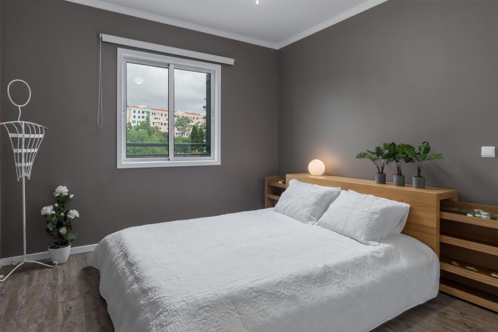 Flh Funchal Nature Flat With Balcony Exterior photo